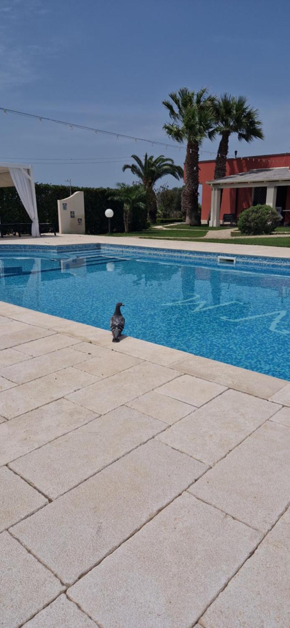 Bed & Breakfast Villa Michela Alezio Ngoại thất bức ảnh